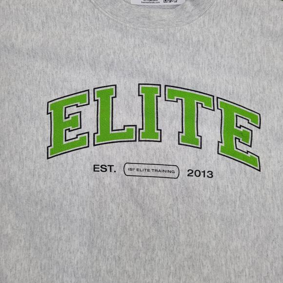 Champion Reverse-Weave Sweatshirt Large 24x25 Baggy Gray - Picture 14 of 15